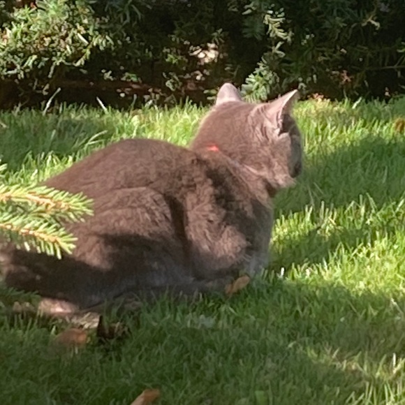 Meet your Posher, April - Picture 1 of 1